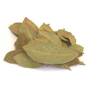Laurel-en-hojas